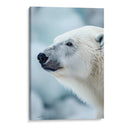 Belleza Animal - Oso Polar. - DeLaVegaGaming | Cuadro decorativo de Canvas Lab