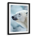 Belleza Animal - Oso Polar. - DeLaVegaGaming | Cuadro decorativo de Canvas Lab