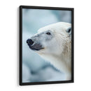 Belleza Animal - Oso Polar. - DeLaVegaGaming | Cuadro decorativo de Canvas Lab