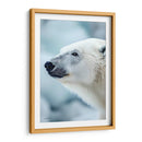 Belleza Animal - Oso Polar. - DeLaVegaGaming | Cuadro decorativo de Canvas Lab