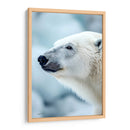 Belleza Animal - Oso Polar. - DeLaVegaGaming | Cuadro decorativo de Canvas Lab