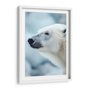 Belleza Animal - Oso Polar. - DeLaVegaGaming | Cuadro decorativo de Canvas Lab