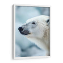 Belleza Animal - Oso Polar. - DeLaVegaGaming | Cuadro decorativo de Canvas Lab
