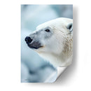 Belleza Animal - Oso Polar. - DeLaVegaGaming | Cuadro decorativo de Canvas Lab