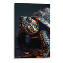 Belleza Animal - Tortuga - DeLaVegaGaming | Cuadro decorativo de Canvas Lab