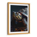 Belleza Animal - Tortuga - DeLaVegaGaming | Cuadro decorativo de Canvas Lab