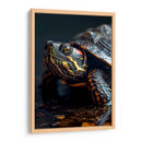 Belleza Animal - Tortuga - DeLaVegaGaming | Cuadro decorativo de Canvas Lab