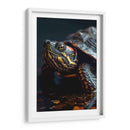 Belleza Animal - Tortuga - DeLaVegaGaming | Cuadro decorativo de Canvas Lab