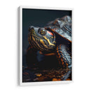 Belleza Animal - Tortuga - DeLaVegaGaming | Cuadro decorativo de Canvas Lab