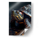 Belleza Animal - Tortuga - DeLaVegaGaming | Cuadro decorativo de Canvas Lab