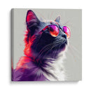 Animales Veraniegos - Gato - DeLaVegaGaming | Cuadro decorativo de Canvas Lab