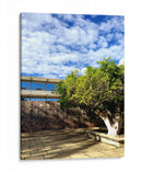 Clima perfecto - Anivpaz | Cuadro decorativo de Canvas Lab