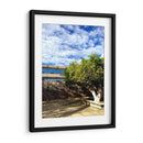 Clima perfecto - Anivpaz | Cuadro decorativo de Canvas Lab