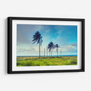 Palmeras y mas alla de San Andres - Dreamer Studio | Cuadro decorativo de Canvas Lab