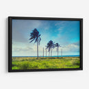 Palmeras y mas alla de San Andres - Dreamer Studio | Cuadro decorativo de Canvas Lab