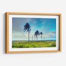 Palmeras y mas alla de San Andres - Dreamer Studio | Cuadro decorativo de Canvas Lab