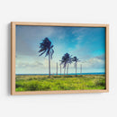 Palmeras y mas alla de San Andres - Dreamer Studio | Cuadro decorativo de Canvas Lab