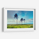 Palmeras y mas alla de San Andres - Dreamer Studio | Cuadro decorativo de Canvas Lab