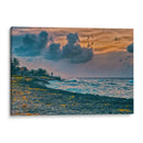 Parque de San Andres al Atardecer - Dreamer Studio | Cuadro decorativo de Canvas Lab