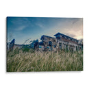 Pasto en el Parque de San Andres - Dreamer Studio | Cuadro decorativo de Canvas Lab