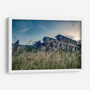 Pasto en el Parque de San Andres - Dreamer Studio | Cuadro decorativo de Canvas Lab