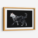 Gato blanco - Artomato | Cuadro decorativo de Canvas Lab