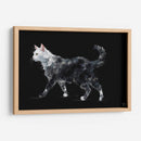 Gato blanco - Artomato | Cuadro decorativo de Canvas Lab