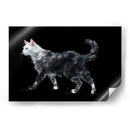 Gato blanco - Artomato | Cuadro decorativo de Canvas Lab