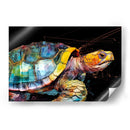 Tortuga terrestre - Artomato | Cuadro decorativo de Canvas Lab
