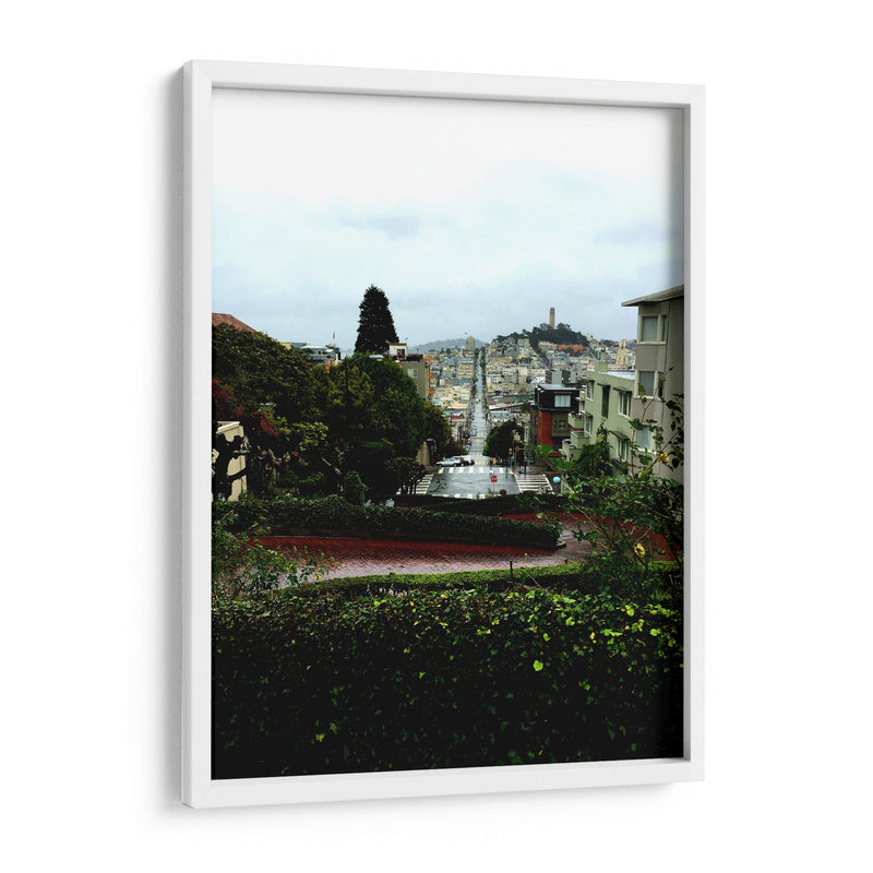 Lombard San Francisco - Anivpaz | Cuadro decorativo de Canvas Lab