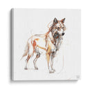 Coyote - Artomato | Cuadro decorativo de Canvas Lab