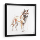 Coyote - Artomato | Cuadro decorativo de Canvas Lab