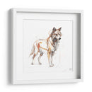 Coyote - Artomato | Cuadro decorativo de Canvas Lab