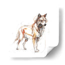 Coyote - Artomato | Cuadro decorativo de Canvas Lab