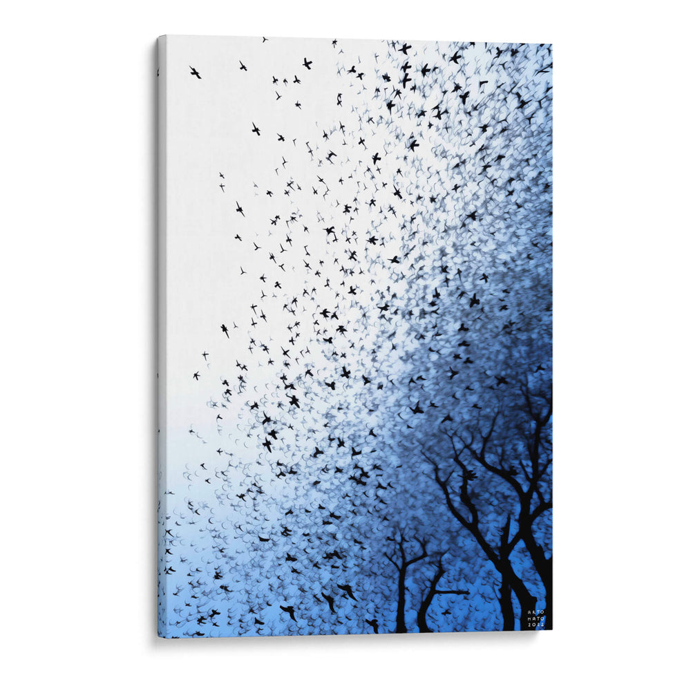 Escape - Artomato | Cuadro decorativo de Canvas Lab