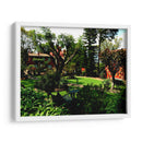 Naturae - Anivpaz | Cuadro decorativo de Canvas Lab