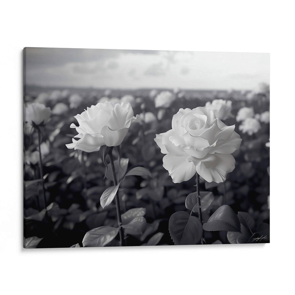 Campo de Rosas B II - DeLaVegaGaming | Cuadro decorativo de Canvas Lab