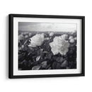 Campo de Rosas B II - DeLaVegaGaming | Cuadro decorativo de Canvas Lab