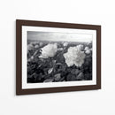 Campo de Rosas B II - DeLaVegaGaming | Cuadro decorativo de Canvas Lab