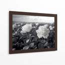 Campo de Rosas B II - DeLaVegaGaming | Cuadro decorativo de Canvas Lab