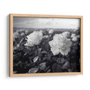 Campo de Rosas B II - DeLaVegaGaming | Cuadro decorativo de Canvas Lab