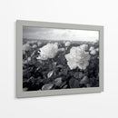 Campo de Rosas B II - DeLaVegaGaming | Cuadro decorativo de Canvas Lab