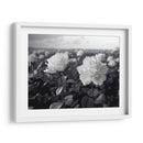 Campo de Rosas B II - DeLaVegaGaming | Cuadro decorativo de Canvas Lab