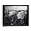 Campo de Rosas B III - DeLaVegaGaming | Cuadro decorativo de Canvas Lab