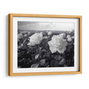 Campo de Rosas B III - DeLaVegaGaming | Cuadro decorativo de Canvas Lab