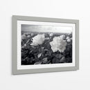 Campo de Rosas B III - DeLaVegaGaming | Cuadro decorativo de Canvas Lab