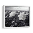 Campo de Rosas B III - DeLaVegaGaming | Cuadro decorativo de Canvas Lab