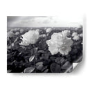 Campo de Rosas B III - DeLaVegaGaming | Cuadro decorativo de Canvas Lab