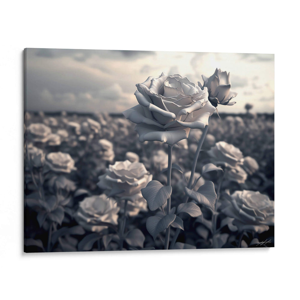 Campo de Rosas B - DeLaVegaGaming | Cuadro decorativo de Canvas Lab