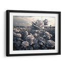 Campo de Rosas B - DeLaVegaGaming | Cuadro decorativo de Canvas Lab